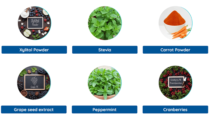 BioDentex Review USA – Natural Support for Teeth & Gums 3 BioDentex - Ingredients