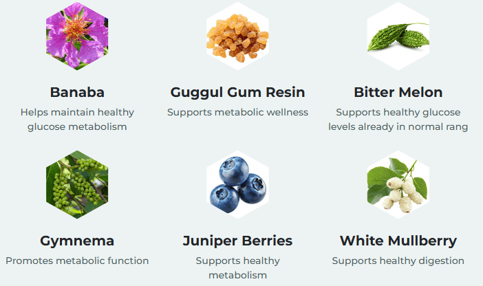 GlycoMute - Ingredients