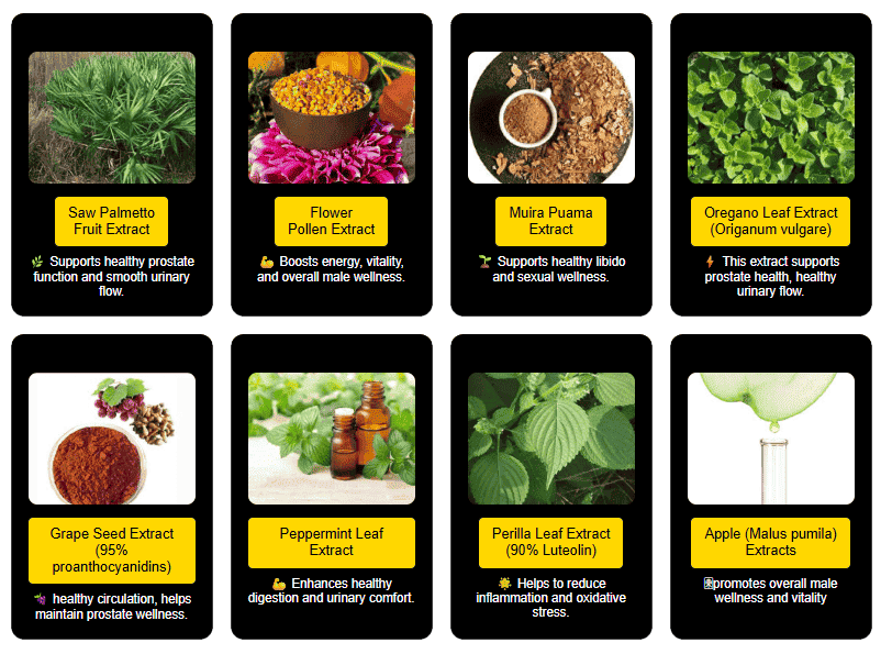 ProstaPrime Support Review: Natural Prostate Health Formula 3 ProstaPrime Support - Ingredient