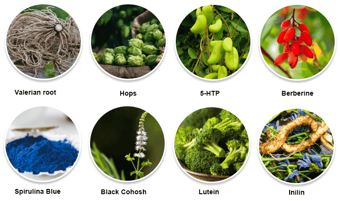 Sleep Lean - Ingredients