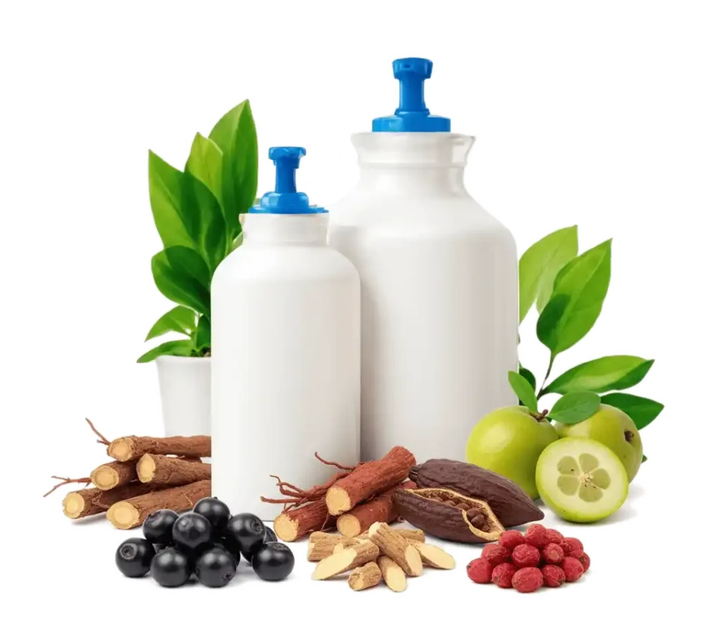 Home 2 Supplements - Maqui Berry