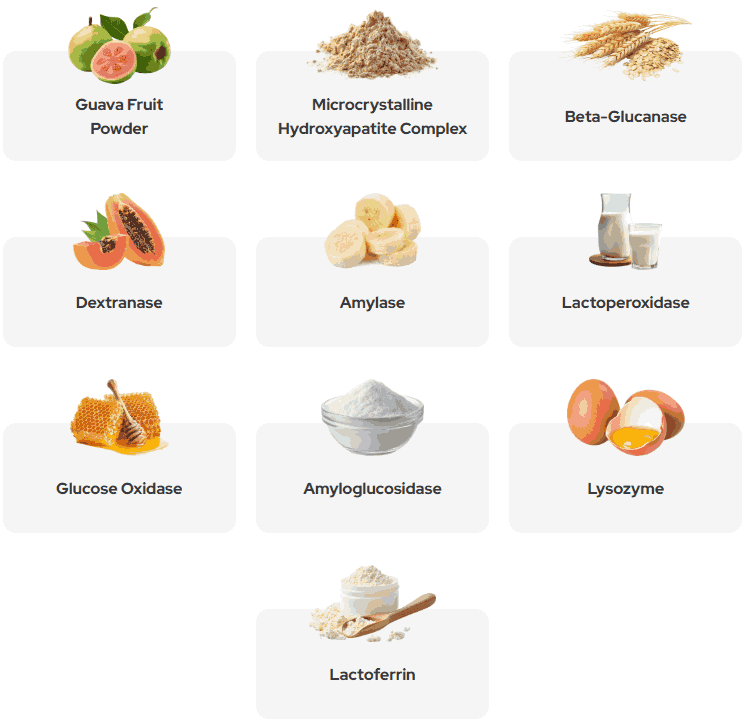 Synadentix Review – Strong Teeth & Healthier Gums Naturally 4 Synadentix - Ingredients