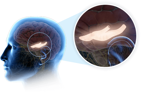 The Genius Wave - Brain