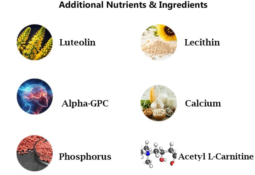 Advanced Memory Formula Exposed: Real Brain Results or Hype? 3 AdVanced Memory Formula - Ingredient