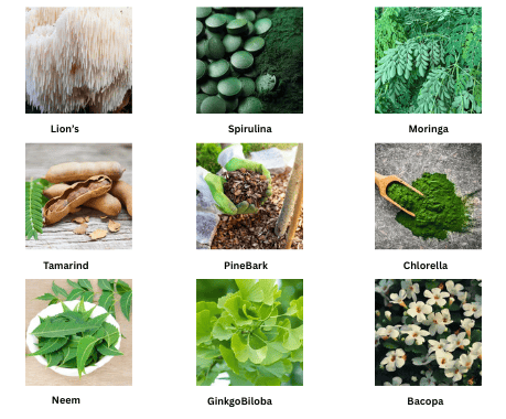 Pineal Guardian® Supplement | Focus, Memory & Sleep 3 Pineal Guardian - Ingredient