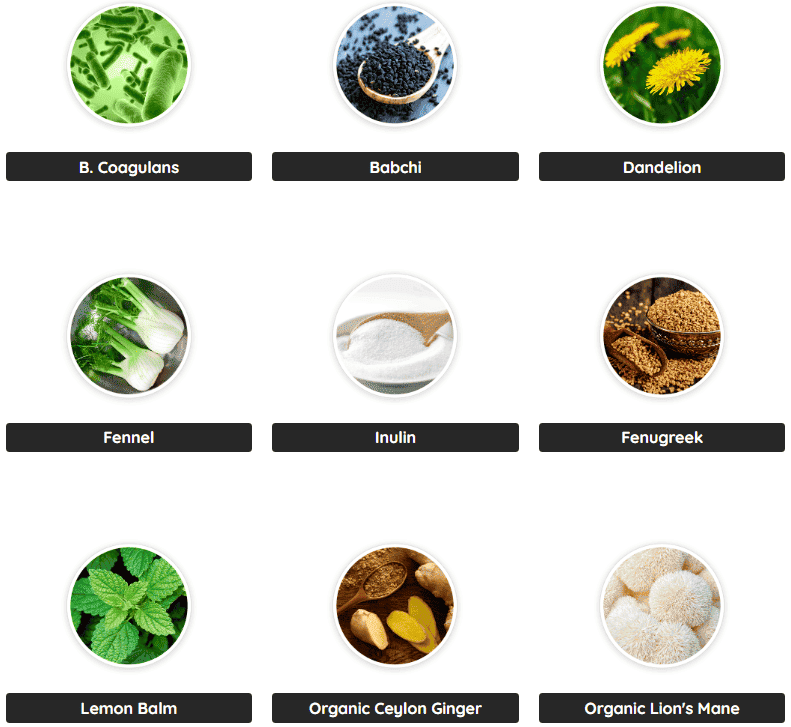 PrimeBiome - Ingredient